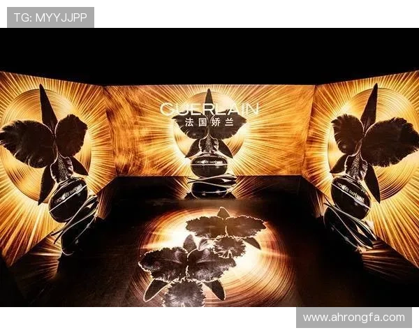 沃尔夫斯堡俱乐部的崛起之路与德甲赛场上的坚韧精神探索