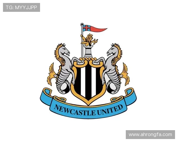 纽卡斯尔联足球俱乐部的崛起与未来发展：历史、成就与挑战分析